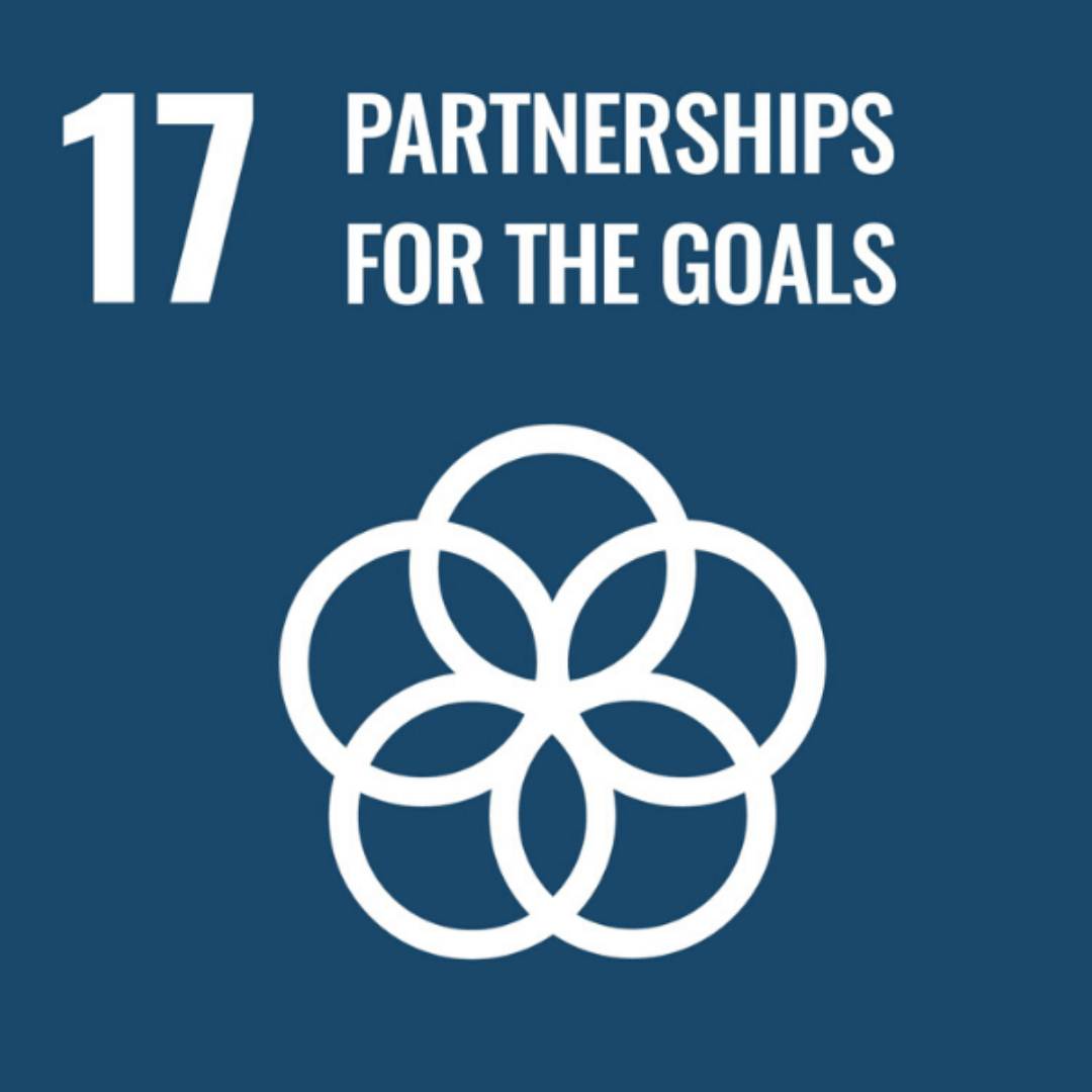 Home SDG 17 Partnerships For The Goals